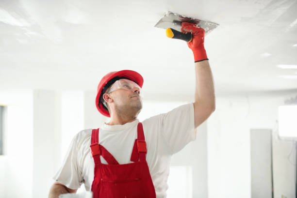 Reliable Richton Park, IL Painting & Drywall Installation Solutions